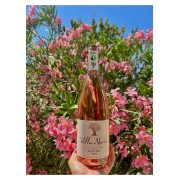 The Peyrière Rosé Gray IgP Oumber Pays - Rosé Bio and Vegan - Villa Noria