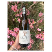 The Peyrère Sauvignon White IgP Country of Oc - Bio White and Vegan Wine - Villa Noria