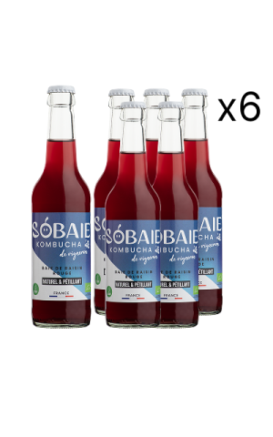 SOBAIE Red - Red Kombucha without alcohol with red fruits