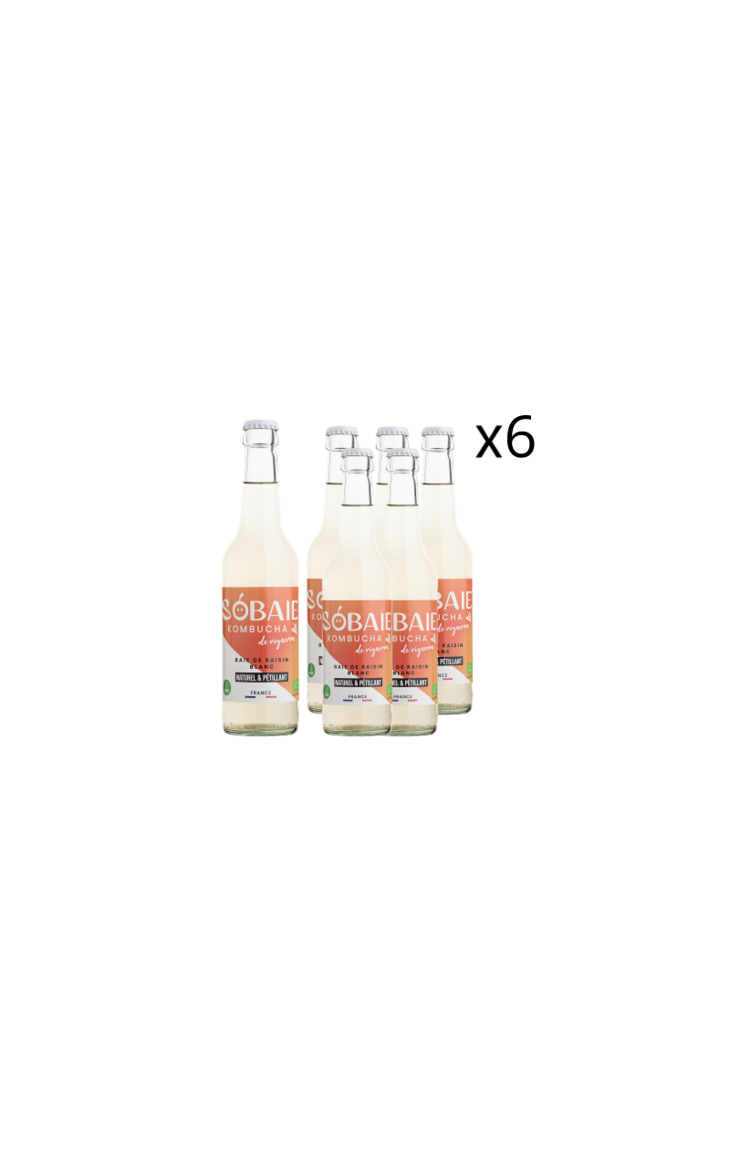 SOBAIE Blanc – Kombucha de raisin blanc sans alcool