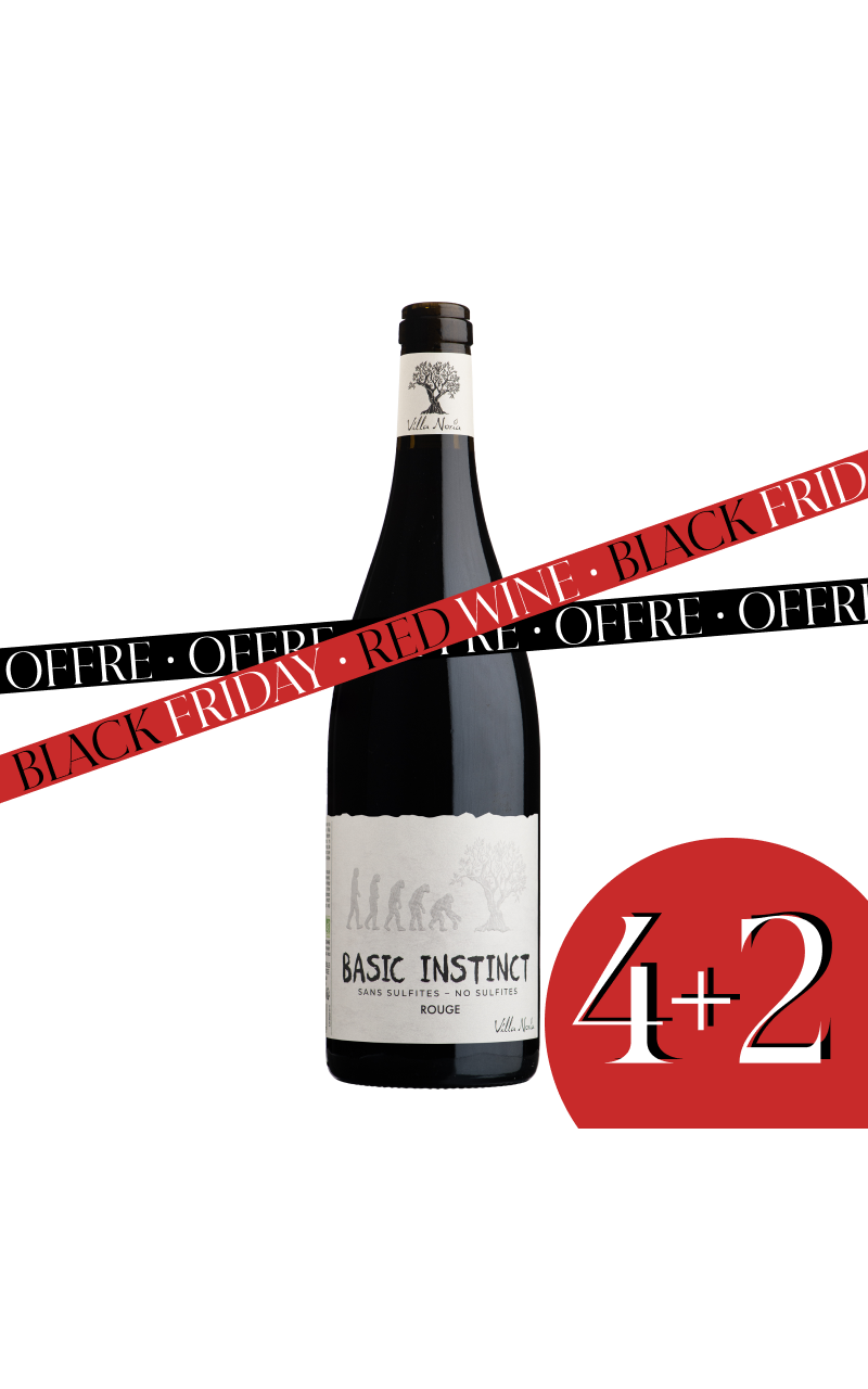 6 bottiglie Cartone - Basic Red Instinct (senza solfito)