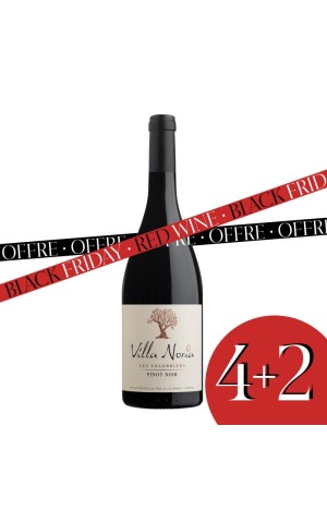 Box of 6 Bottles - Colombiers - Pinot noir