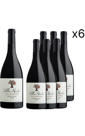 Carton de 6 Bouteilles - Les Colombiers - Pinot noir