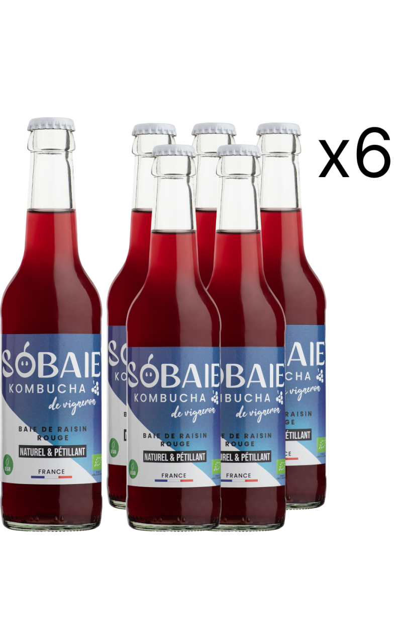 Carton Sobaie Kombucha de vigneron - Baie de raisin Rouge (24 x 33 cL)