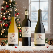 Coffret Terroir d'exception Villa Noria