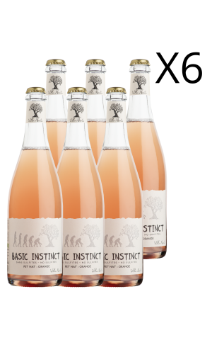 Carton de 6 bouteilles - Basic Instinct PET'NAT' Orange (sans sulfites)
