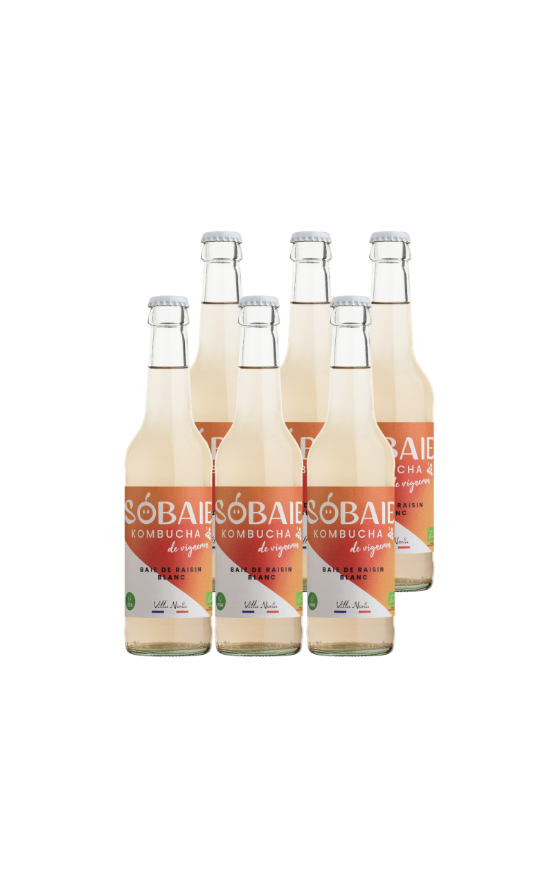 SOBAIE Blanco - Lucha blanca Kombucha sin alcohol