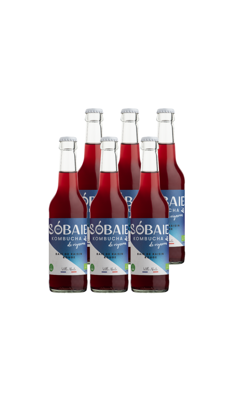 SOBAIE Rojo - Kombucha Roja sin alcohol con frutas rojas