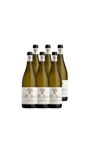 Cardboard of 6 bottles - Sauvignon Blanc