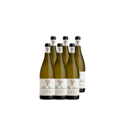 Cartone di 6 bottiglie - Sauvignon Blanc