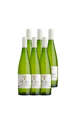 Carton of 6 bottles The Greenhouse - Picpoul de Pinat