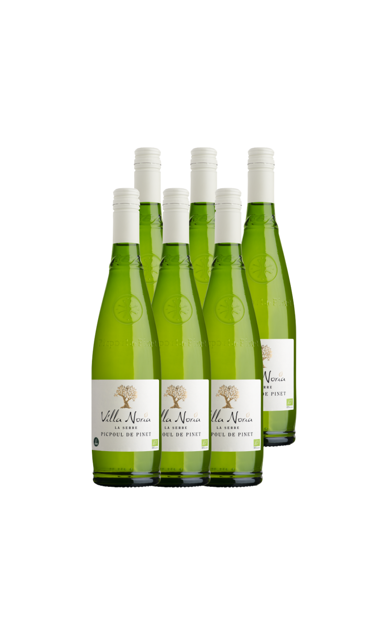Carton de 6 Bouteilles La Serre - Picpoul de Pinet