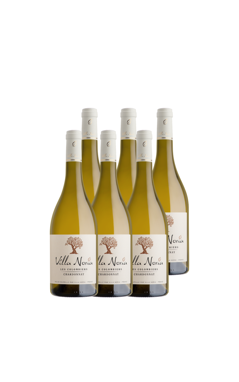 The Colombiers - Chardonnay - Domaine Villa Noria