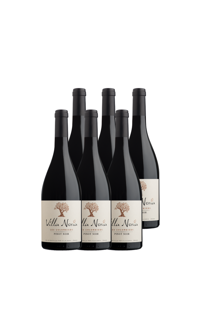 Box of 6 Bottles - Colombiers - Pinot noir