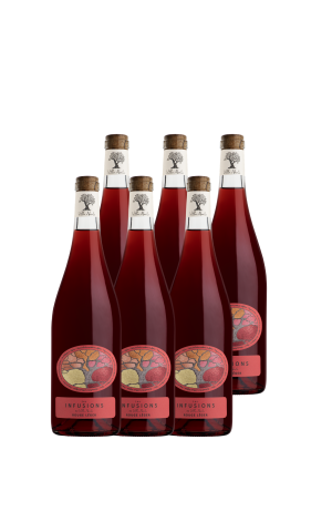 Carton de 6 Bouteilles - Les Infusions de Villa Noria - Rouge Léger (Sans Sulfites)