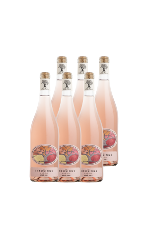 Carton de 6 Bouteilles - Les Infusions de Villa Noria - Rosé Gris (Sans Sulfites)