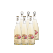 Carton de 6 Bouteilles - Les Infusions de Villa Noria - PET'NAT' Blanc de Noirs (Sans Sulfites)