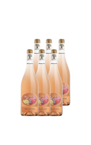Cartón de 6 botellas - Les Infusions Villa Noria - Orange (sin sulfitos)