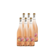 Cartón de 6 botellas - Les Infusions Villa Noria - Orange (sin sulfitos)