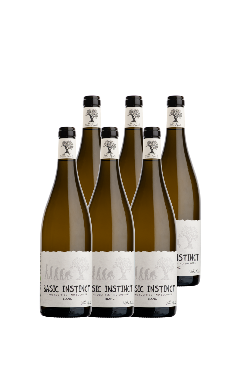 6-bottles cardboard - Basic White instinct (sulfite-free)