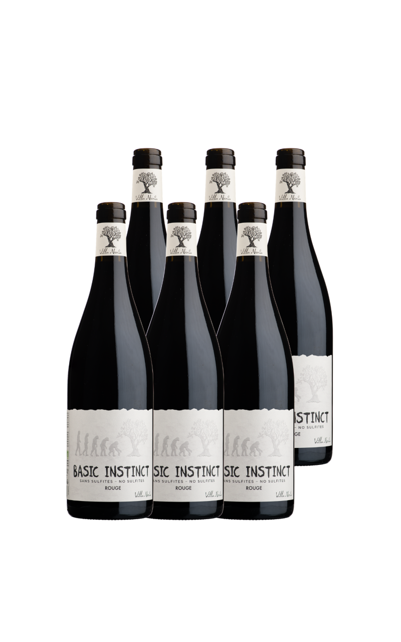Carton de 6 bouteilles - Basic Instinct Rouge (Sans sulfite)