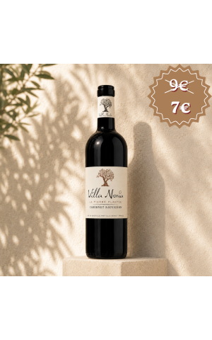 The Peyrière Cabernet Sauvignon Igp Country of Oc - Bio Red Wine and Vegan - Villa Noria