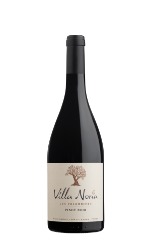 Colombiers Pinot Noir IGP país de Bio y Vegan - Villa Noria