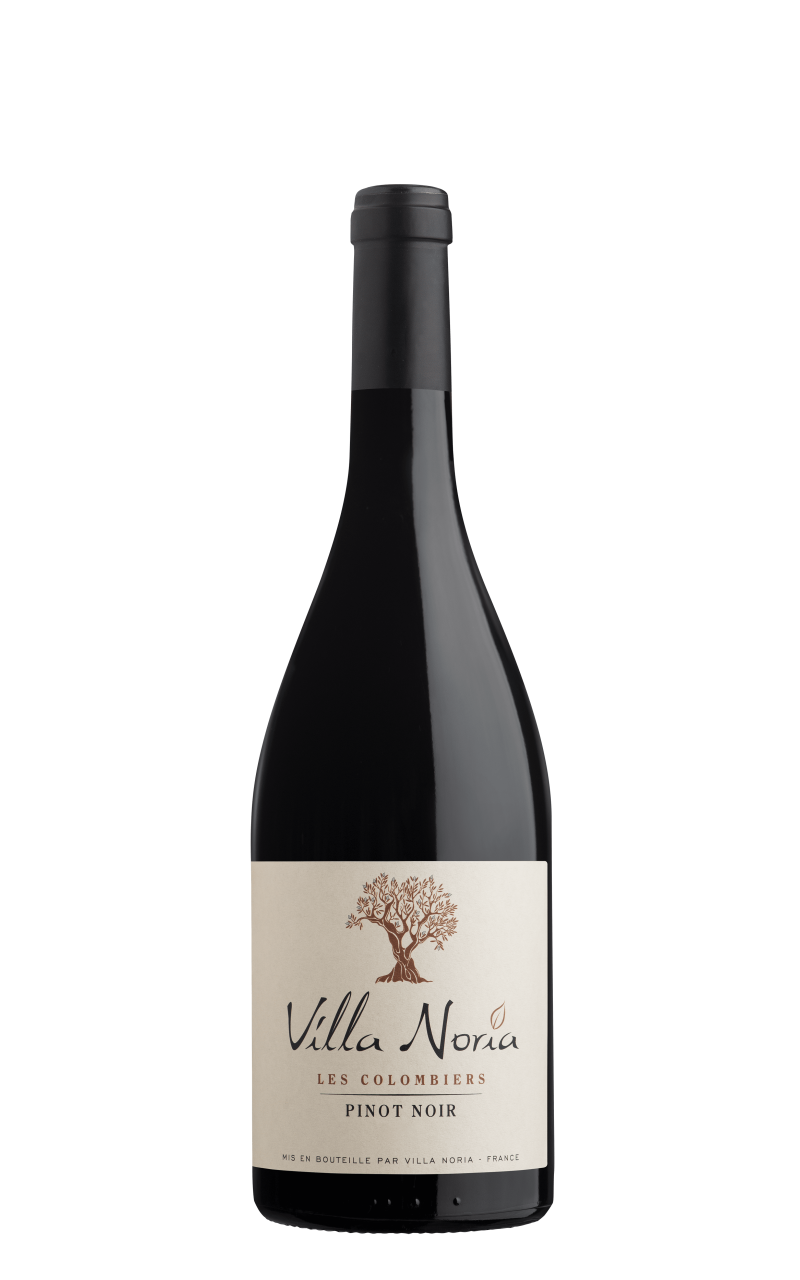 Les Colombiers Pinot Noir IGP Pays d’Oc - Vin bio et vegan - Villa Noria