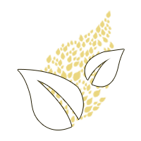 Organic Vineyard  since its creation in 2010
